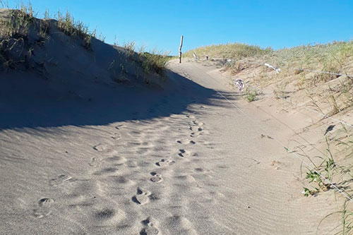 Alojamiento en Mar de las Pampas